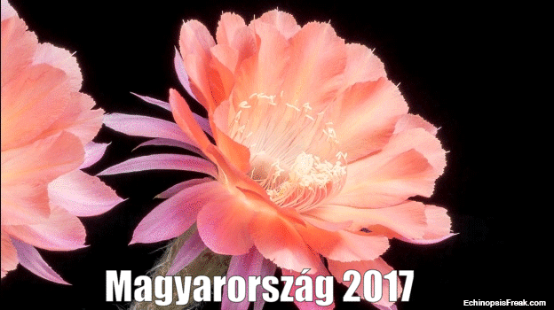Magyarország 2017